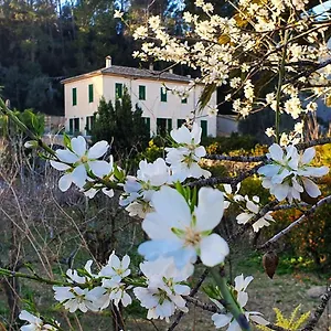 Country house Sa Maniga Bunyola